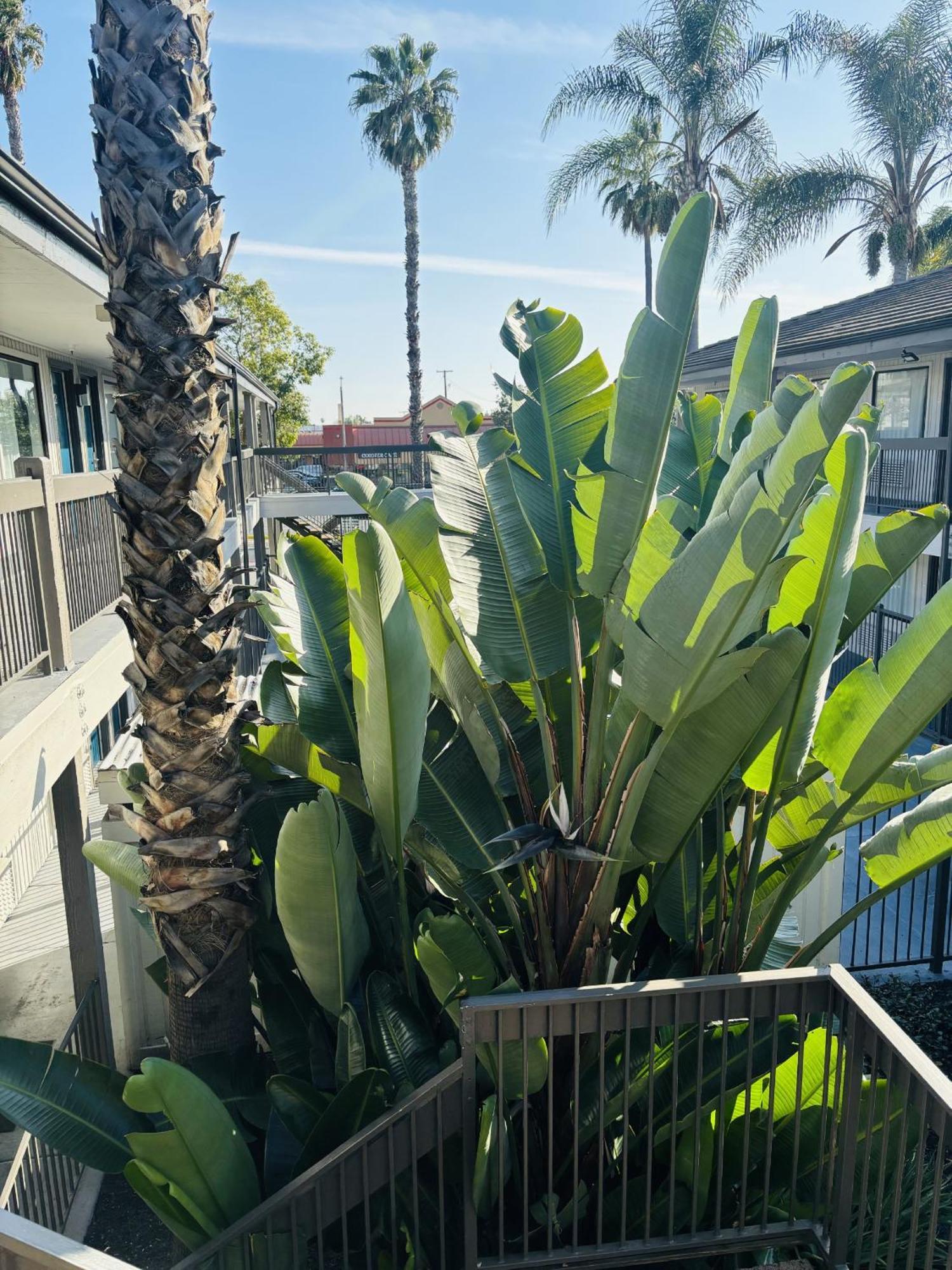 Motel 6-Santa Ana, Ca Exterior photo